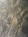 28/L-26 Firestone Super All Traction 23 R-1, F (12 Ply) 75%