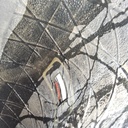 380/90R54 Goodyear Farm DT800 Super Traction R-1W 152A8 50%