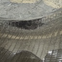 500/70R24 Michelin XMCL R-4 164B 99%