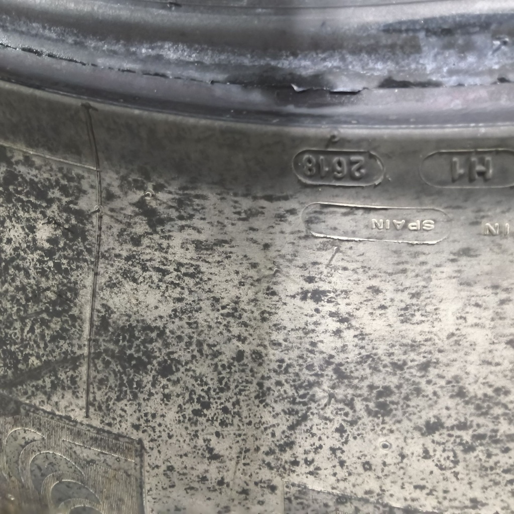 IF650/85R38 Michelin Axiobib R-1W 179D 50%