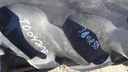 380/90R50 Goodyear Farm DT800 Optitrac R-1W on John Deere Yellow 10-Hole Stub Disc 55%